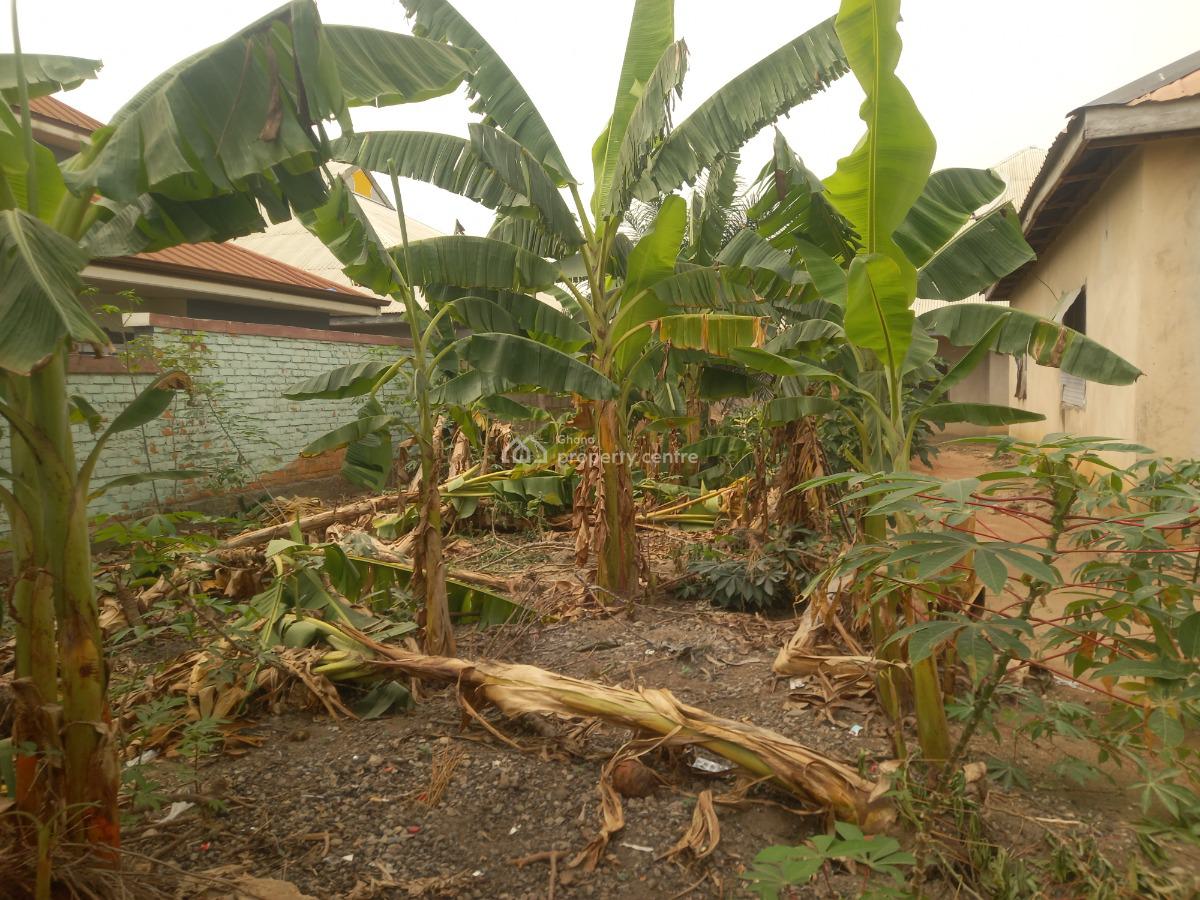 Plot, Buobai., Kumasi Metropolitan, Ashanti, Residential Land for Sale