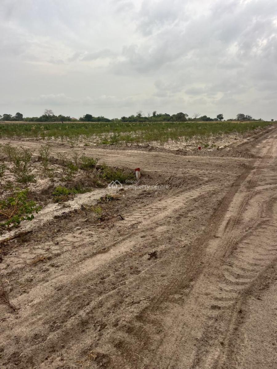 Prime Serviced Plots Available -- Secure Your Future Today!, Tsopoli, Ningo Prampram District, Accra, Mixed-use Land for Sale