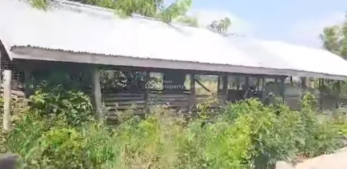 100 Acres Farm., Winamda, Kumawu/ Drobonso., Kumasi Metropolitan, Ashanti, Commercial Property for Sale