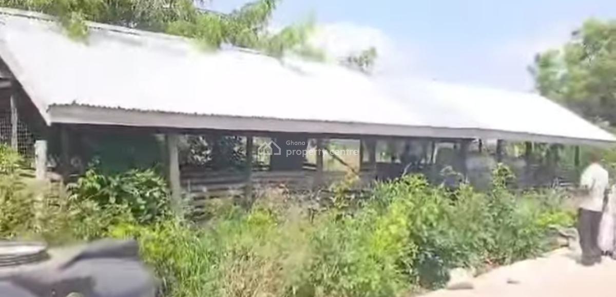 100 Acres Farm., Winamda, Kumawu/ Drobonso., Kumasi Metropolitan, Ashanti, Commercial Property for Sale