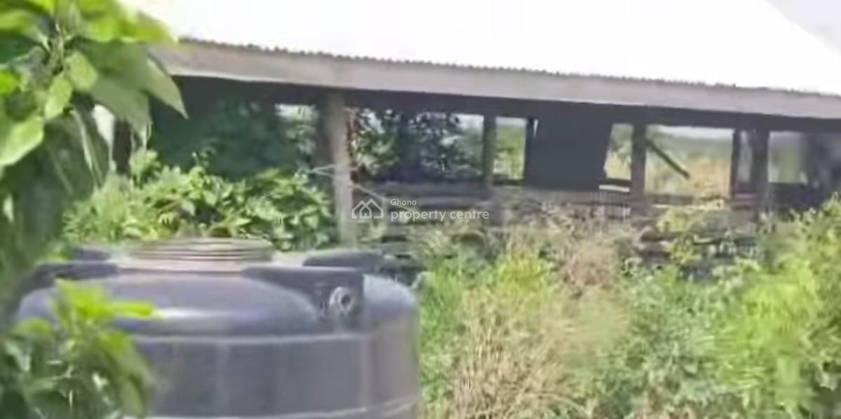 100 Acres Farm., Winamda, Kumawu/ Drobonso., Kumasi Metropolitan, Ashanti, Commercial Property for Sale