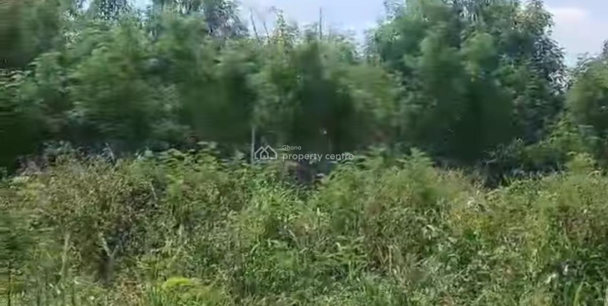 100 Acres Farm., Winamda, Kumawu/ Drobonso., Kumasi Metropolitan, Ashanti, Commercial Property for Sale