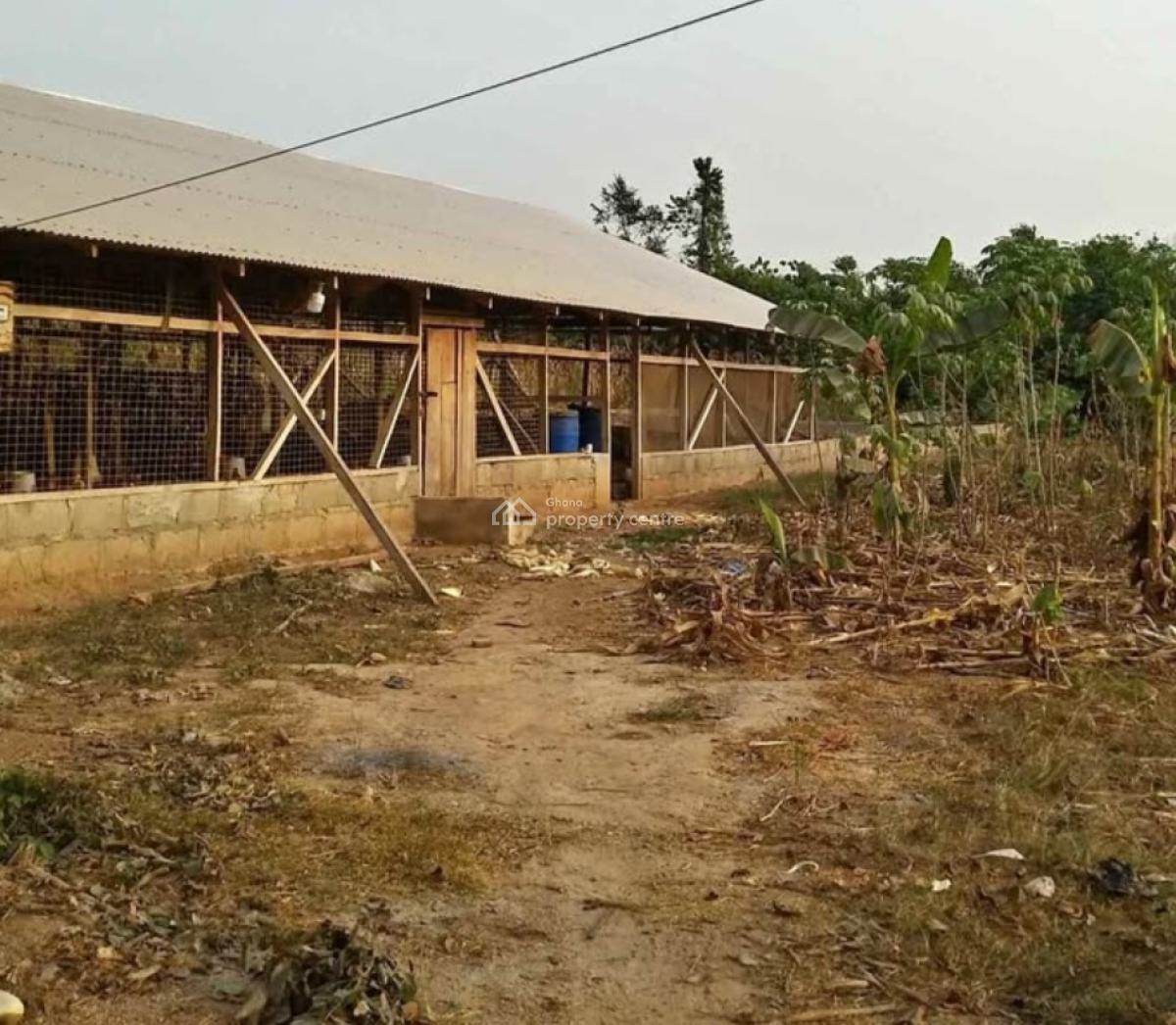 Poultry Farm     ( 4 Plots, 1 Acre Land), Nfensi ( Kontomire), on Kumasi Mankraso Road., Kumasi Metropolitan, Ashanti, Commercial Property for Sale