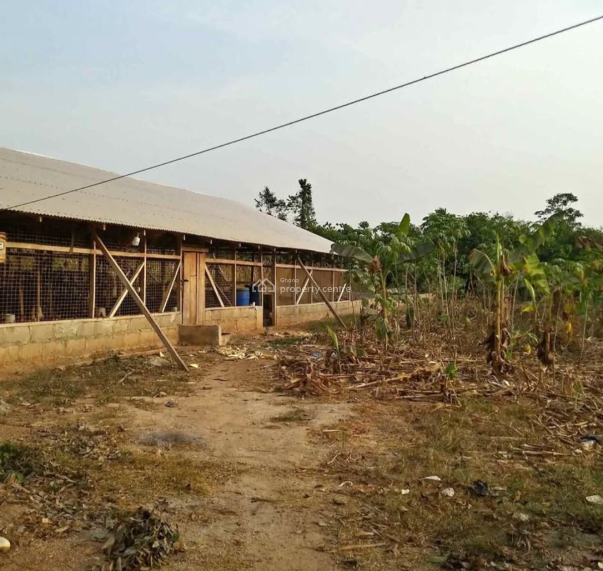 Poultry Farm     ( 4 Plots, 1 Acre Land), Nfensi ( Kontomire), on Kumasi Mankraso Road., Kumasi Metropolitan, Ashanti, Commercial Property for Sale