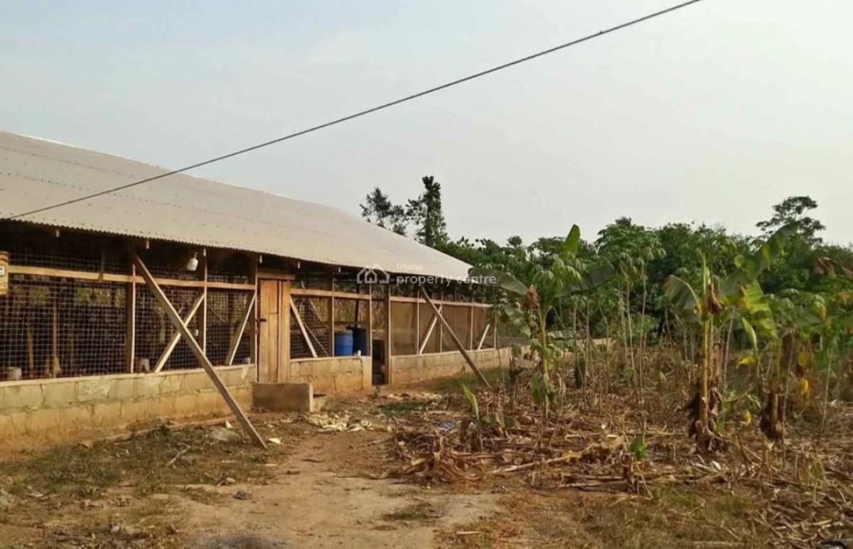 Poultry Farm     ( 4 Plots, 1 Acre Land), Nfensi ( Kontomire), on Kumasi Mankraso Road., Kumasi Metropolitan, Ashanti, Commercial Property for Sale