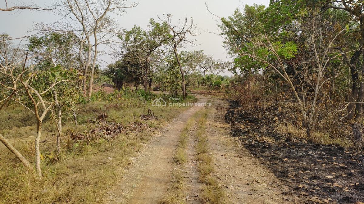 Land in Sokode-ho, Sokode, Ho Municipal, Volta Region, Mixed-use Land for Sale