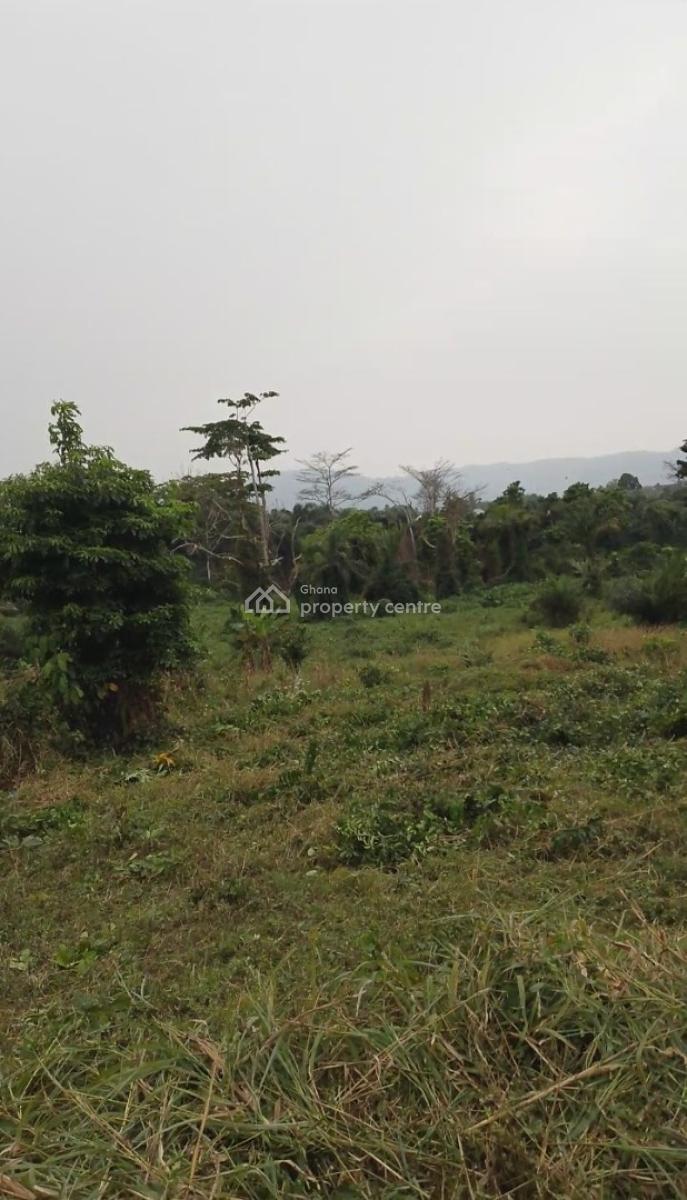 Land, Nsutem Close to Lindador, Fanteakwa, Eastern Region, Mixed-use Land for Sale