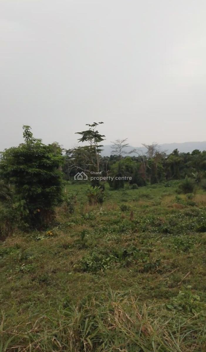 Land, Nsutem Close to Lindador, Fanteakwa, Eastern Region, Mixed-use Land for Sale