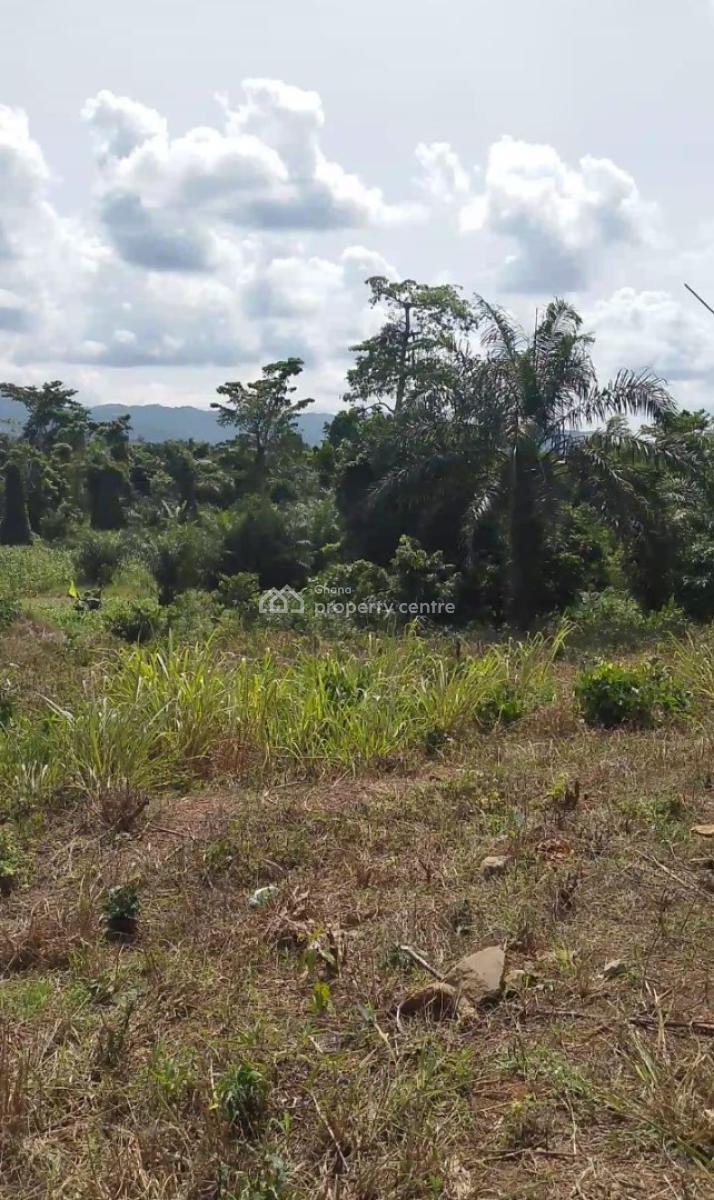 Land, Akyem Bunso, Close to Lindador, Fanteakwa, Eastern Region, Residential Land for Sale
