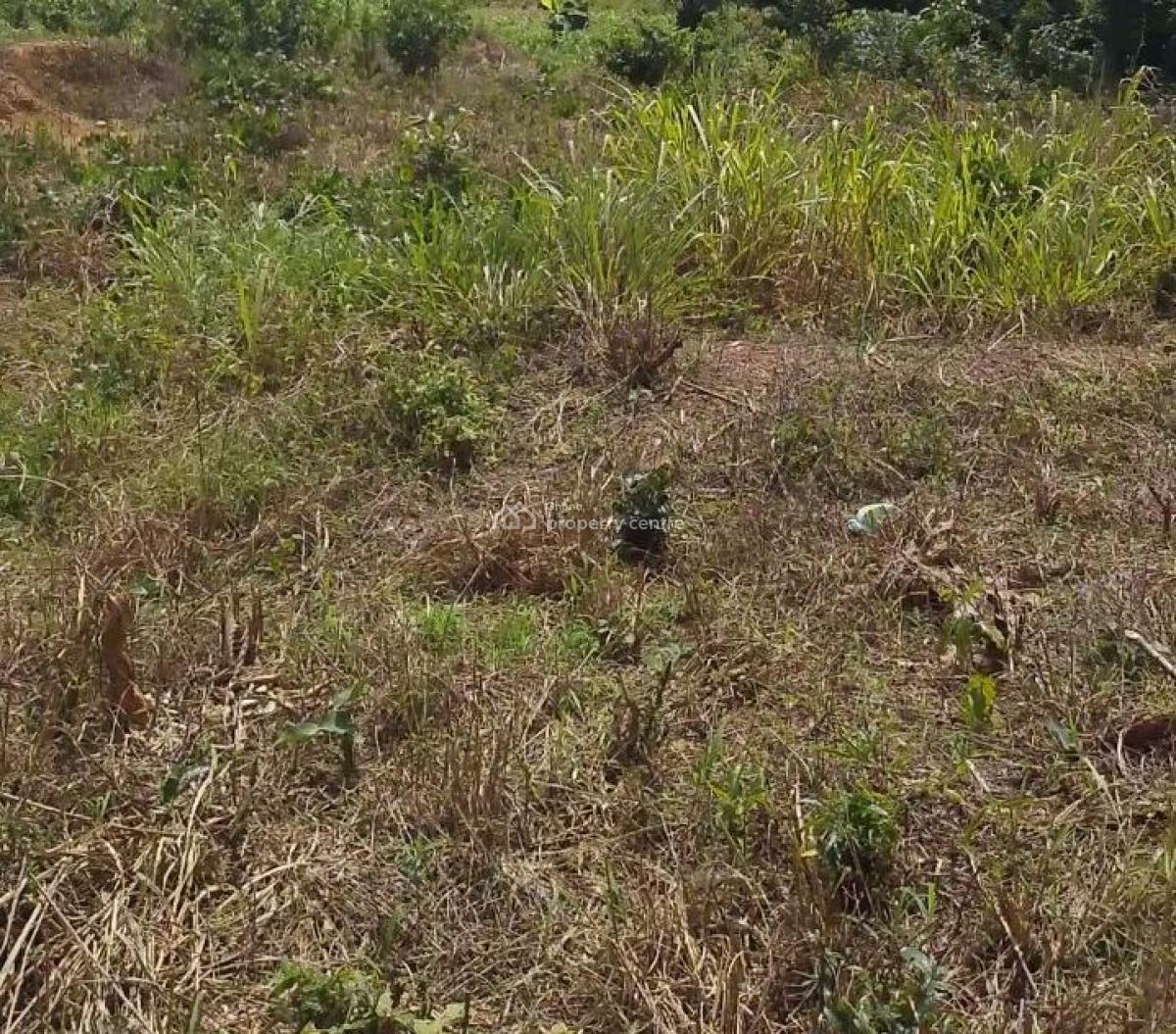 Land, Akyem Bunso, Close to Lindador, Fanteakwa, Eastern Region, Residential Land for Sale