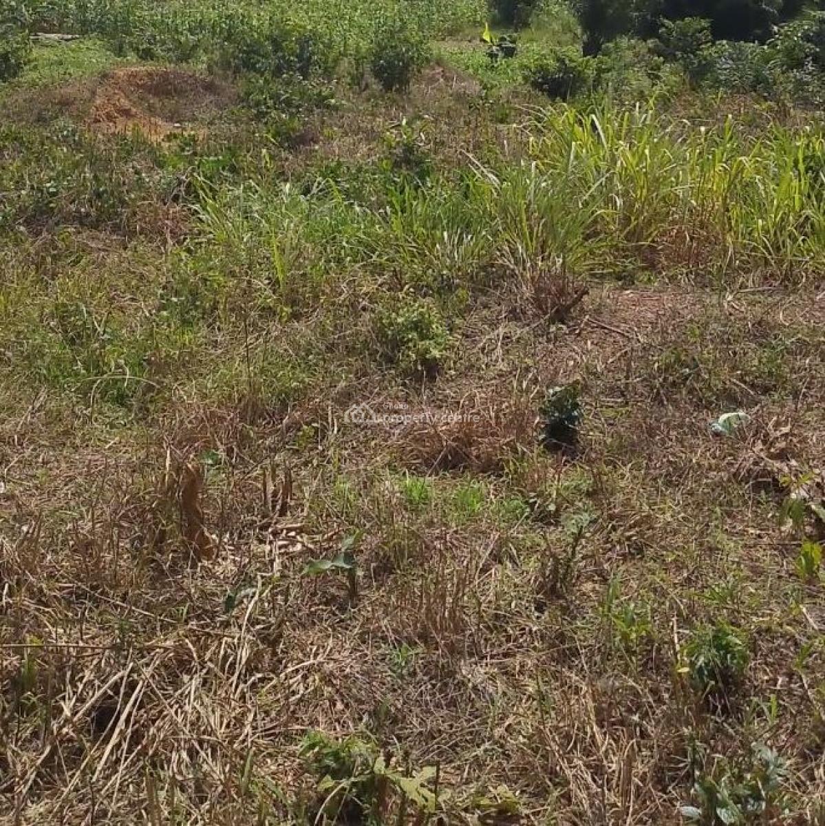 Land, Akyem Bunso, Close to Lindador, Fanteakwa, Eastern Region, Residential Land for Sale