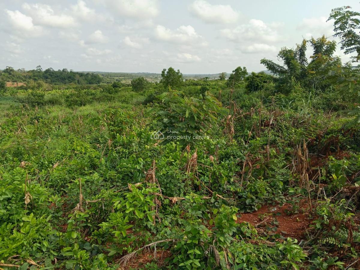 1-acre Plot, Winneba, Effutu Municipal, Central Region, Residential Land for Sale