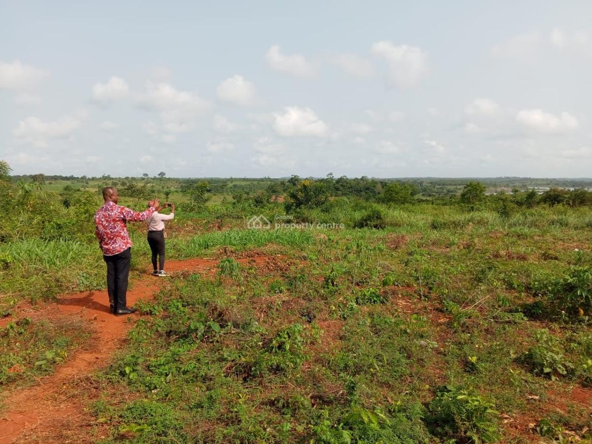 Farm Land, Winneba Junction - Apam Junction, Effutu Municipal, Central Region, Mixed-use Land for Sale