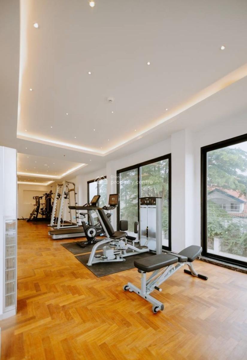 Furnished 2 Bedroom Apartment with Gym, East Airport, Airport Residential Area, Accra, Apartment for Rent