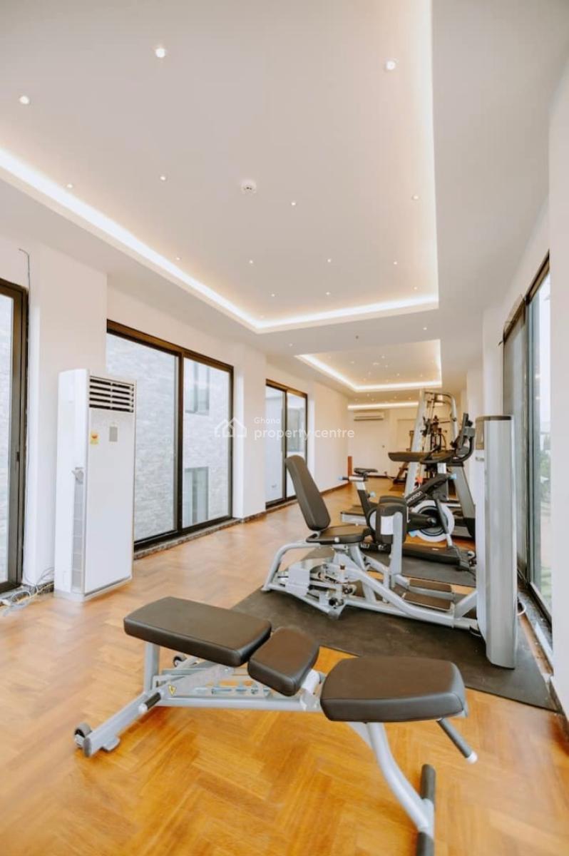 Furnished 2 Bedroom Apartment with Gym, East Airport, Airport Residential Area, Accra, Apartment for Rent