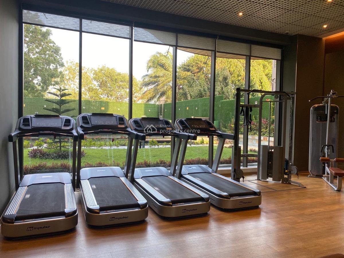 Furnished 2 Bedroom Apartment with Swimming Pool and Gym, Airport Residential Area, Accra, Apartment for Rent