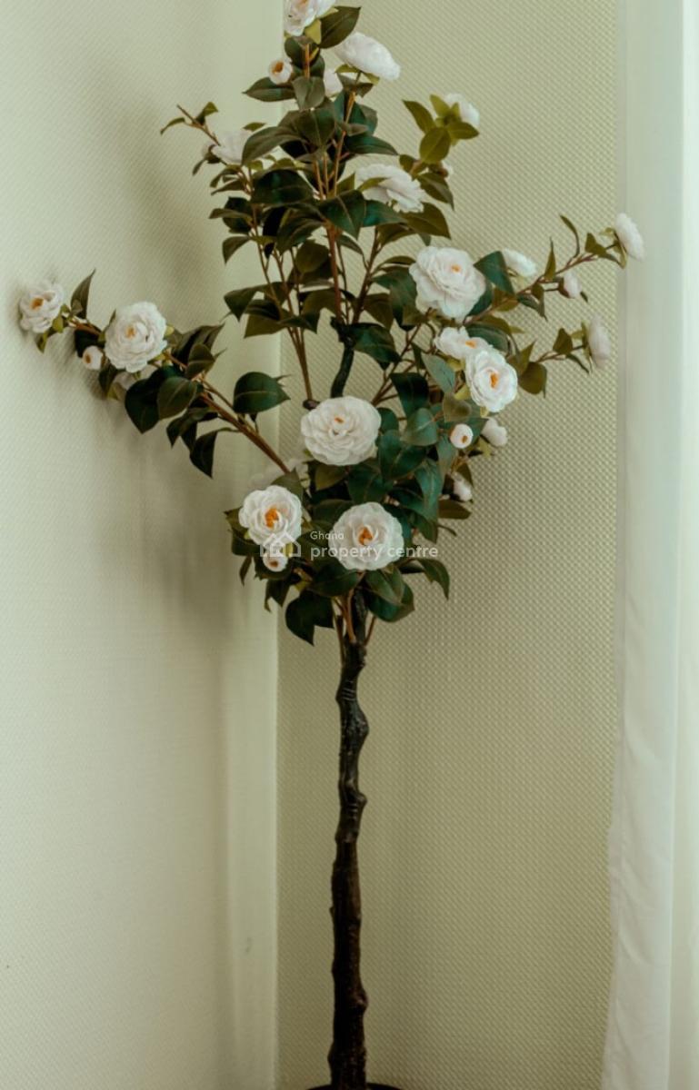 Furnished 3 Bedroom Apartment with Swimming Pool and Gym, Airport Residential Area, Accra, Apartment for Rent