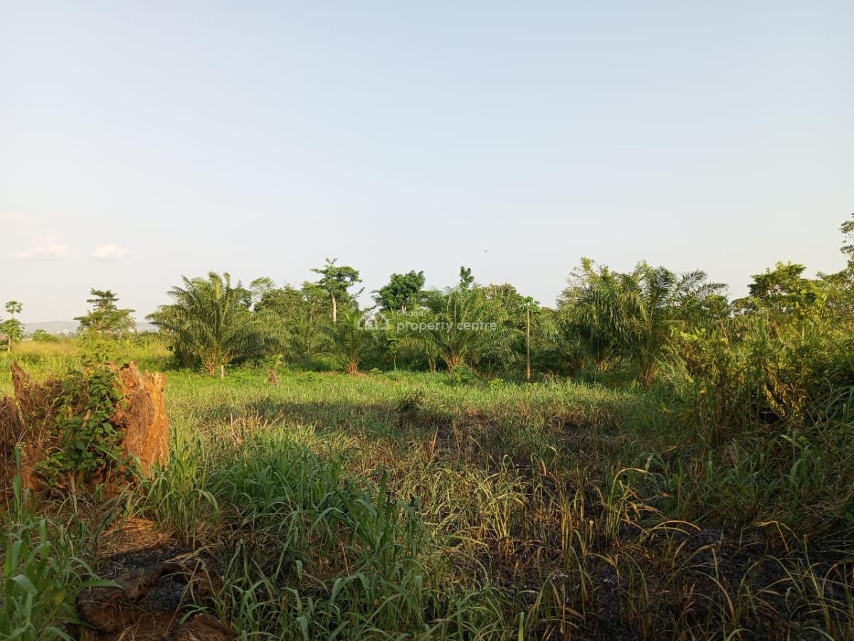 Land in Koforiduah, Obuortumpan, Koforidua, Eastern Region, Mixed-use Land for Sale