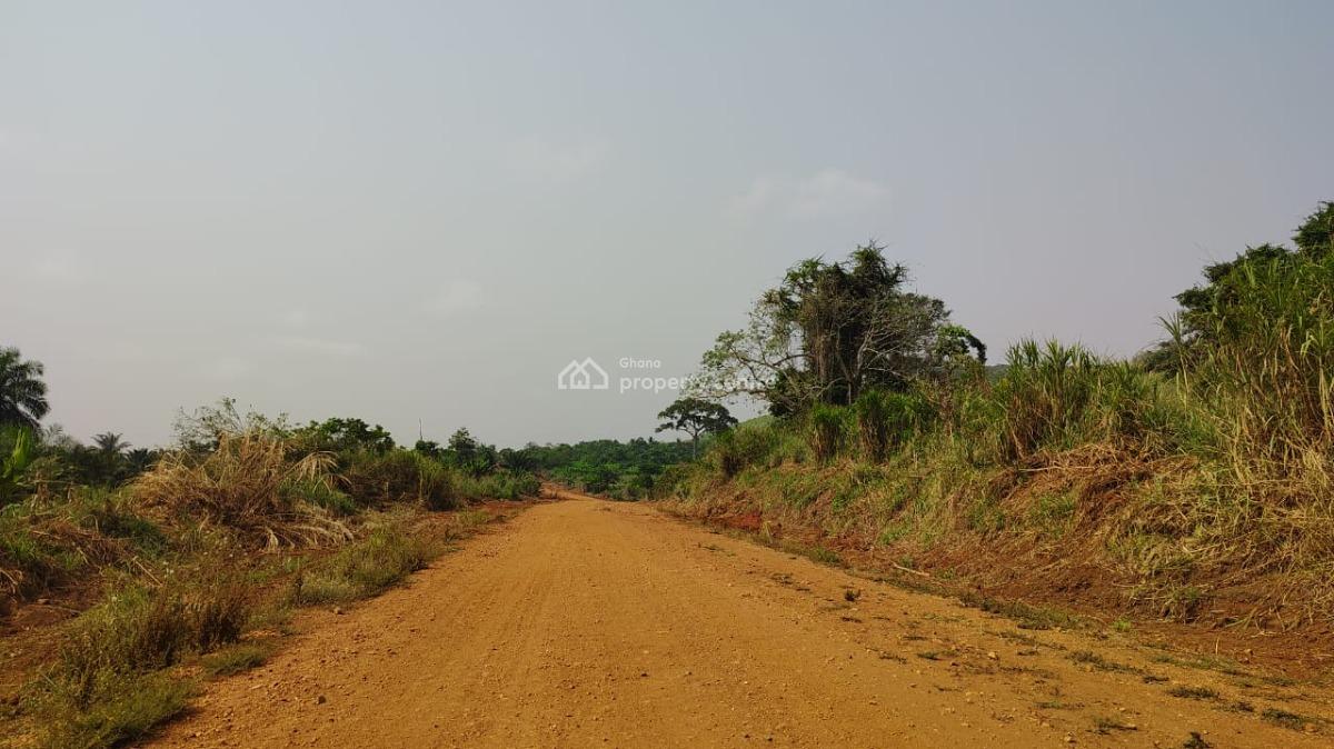 Farm Land in Abutia-ho, Abutia-ho, Ho Municipal, Volta Region, Commercial Land for Sale