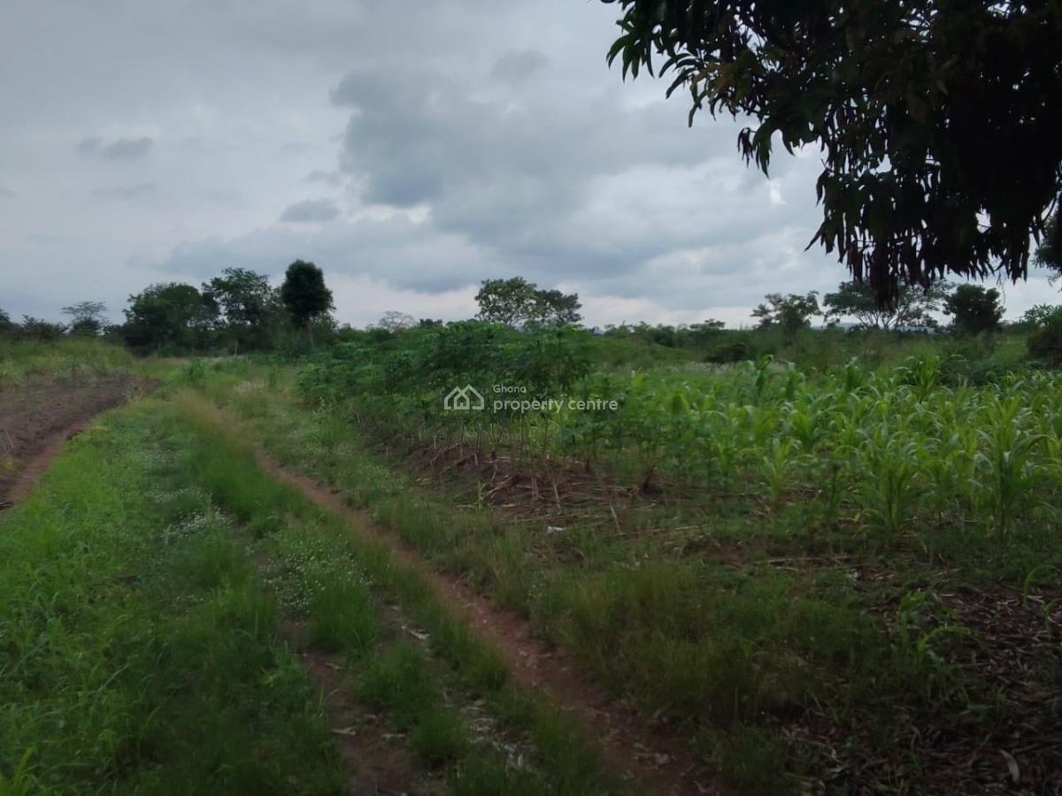 Farm Land in Peki, Peki(dededo), South Dayi, Volta Region, Commercial Land for Sale