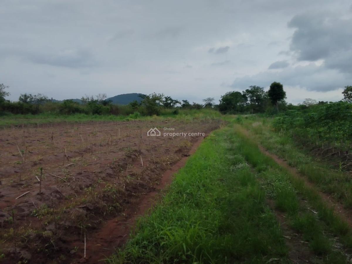 Farm Land in Peki, Peki(dededo), South Dayi, Volta Region, Commercial Land for Sale