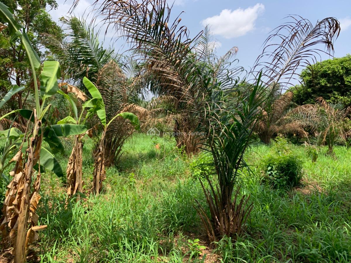 One Acre Land, Oyibi, Accra, Mixed-use Land for Sale