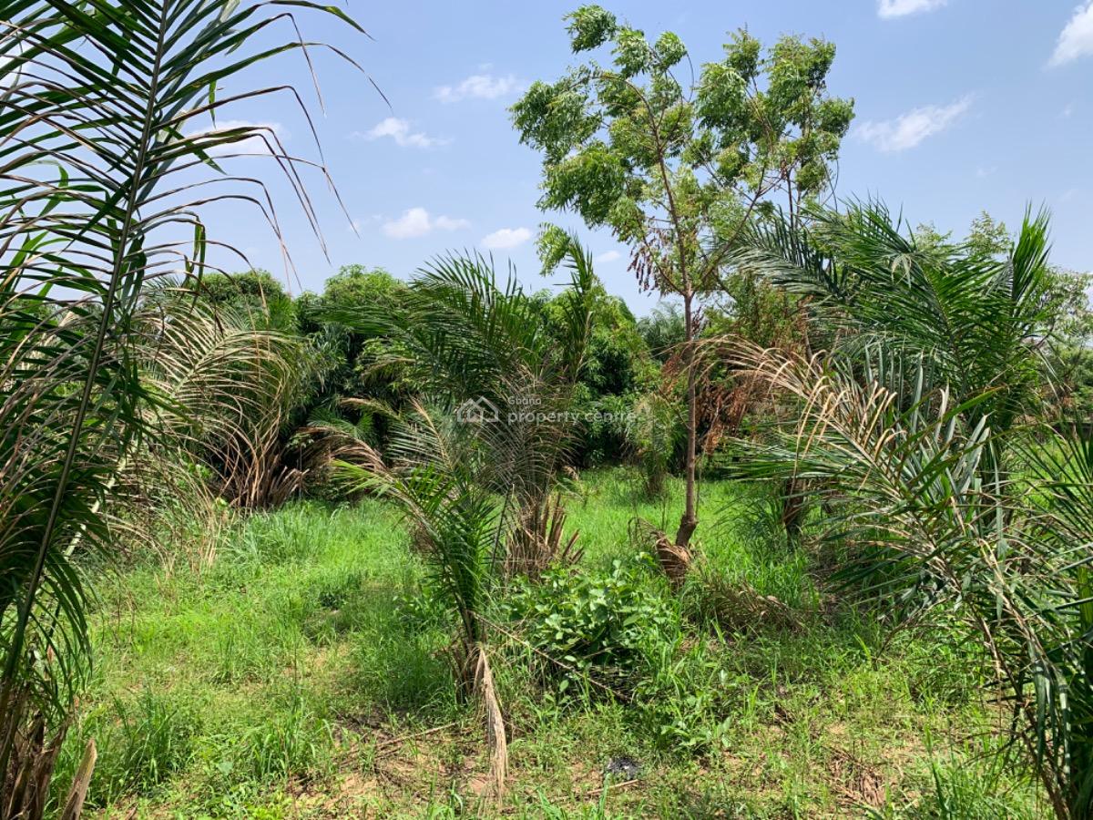 One Acre Land, Oyibi, Accra, Mixed-use Land for Sale