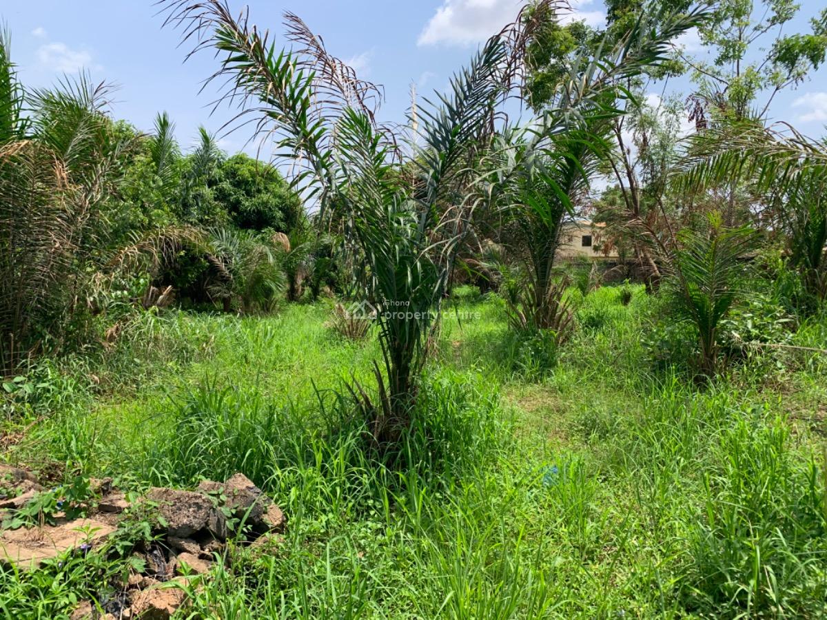 One Acre Land, Oyibi, Accra, Mixed-use Land for Sale