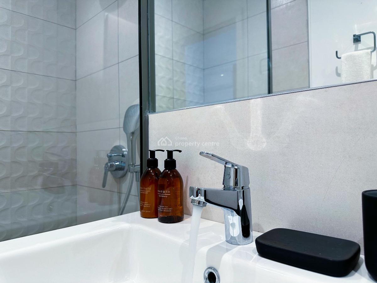 Studio in Airport Residential, Airport Residential Area, Accra, Mini Flat for Rent