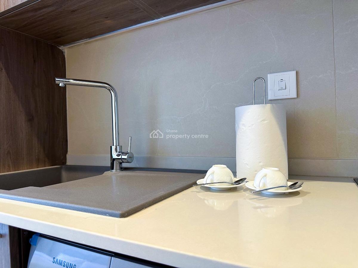 Studio in Airport Residential, Airport Residential Area, Accra, Mini Flat for Rent