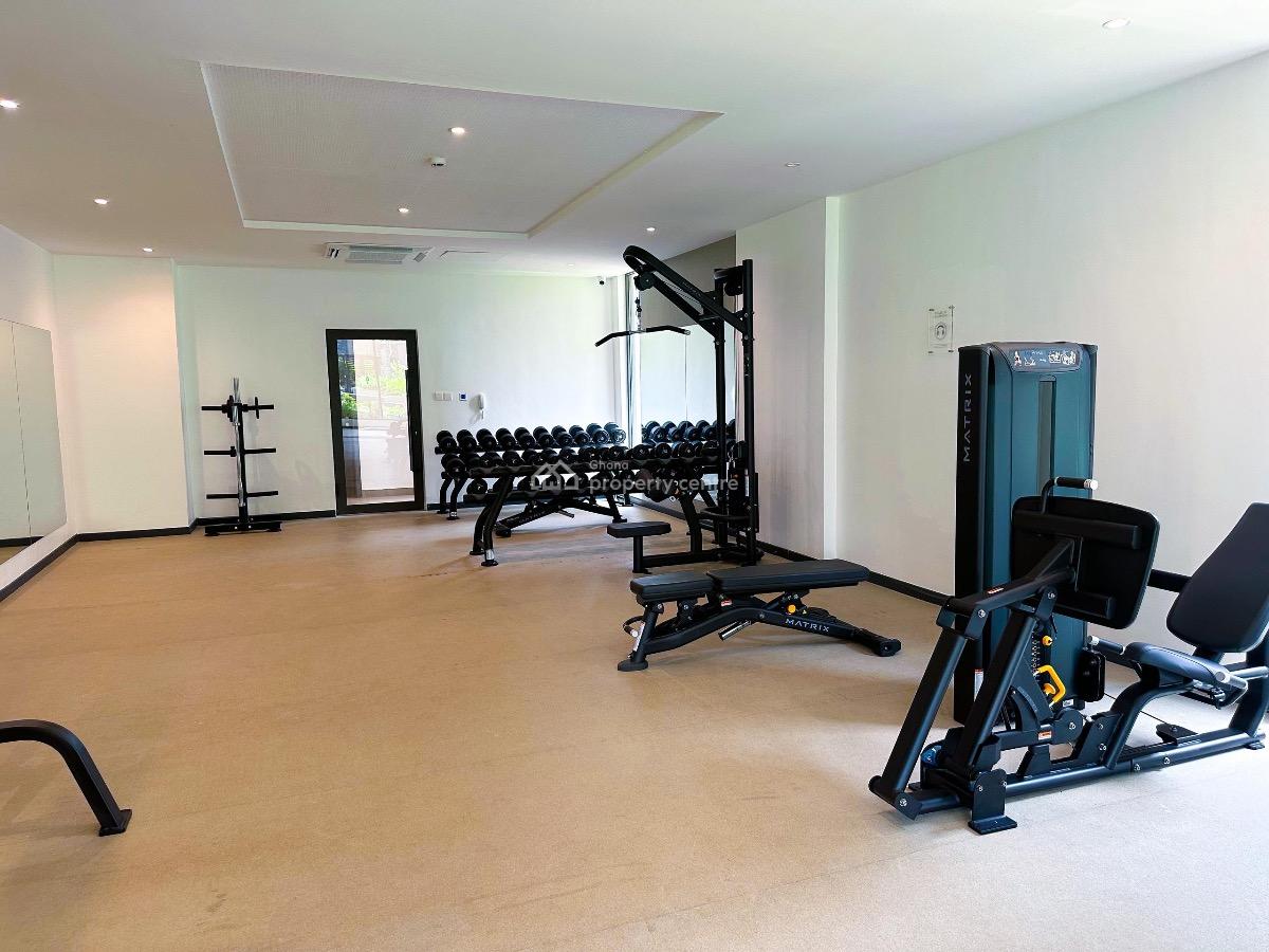 Studio in Airport Residential, Airport Residential Area, Accra, Mini Flat for Rent