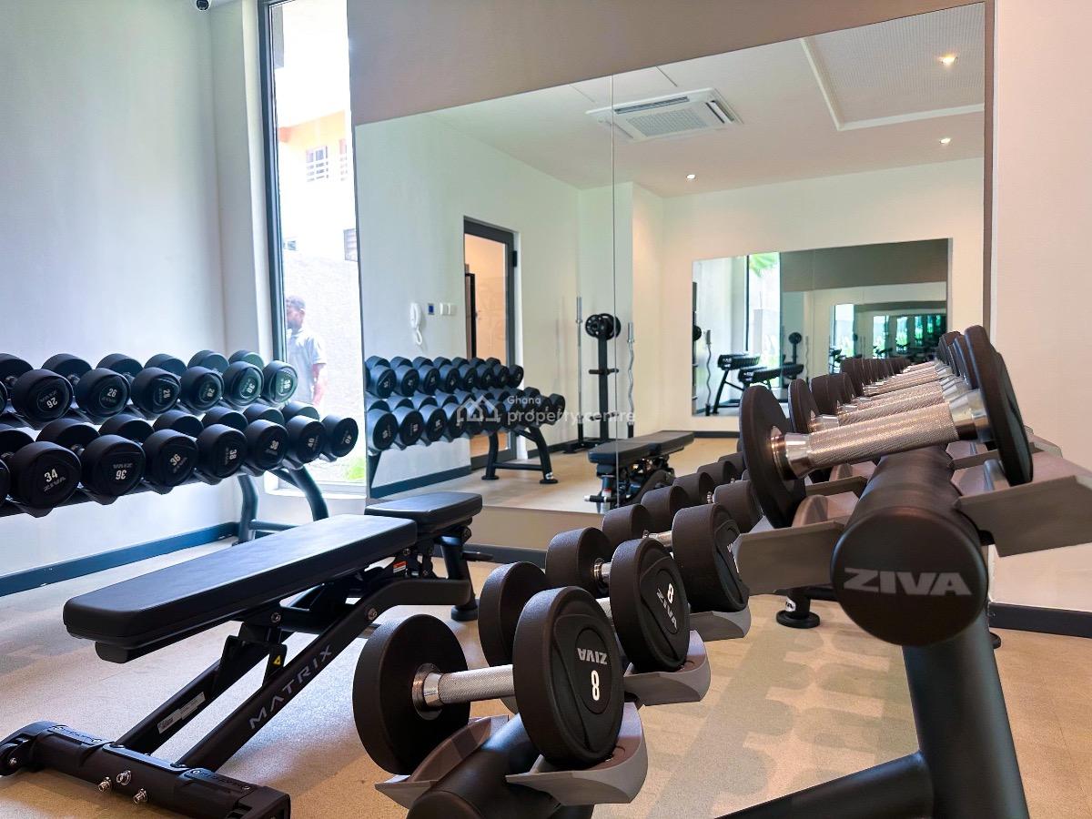 Studio in Airport Residential, Airport Residential Area, Accra, Mini Flat for Rent