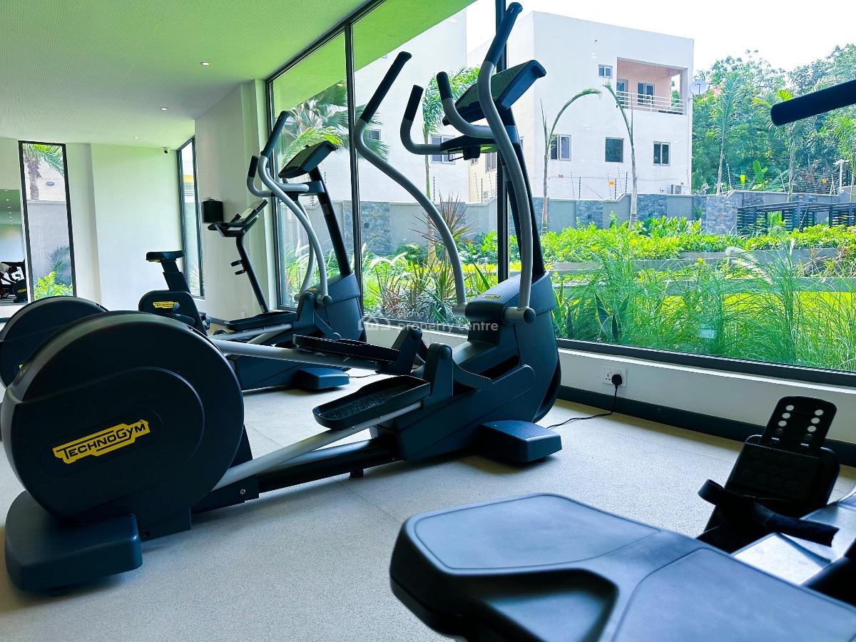 Studio in Airport Residential, Airport Residential Area, Accra, Mini Flat for Rent