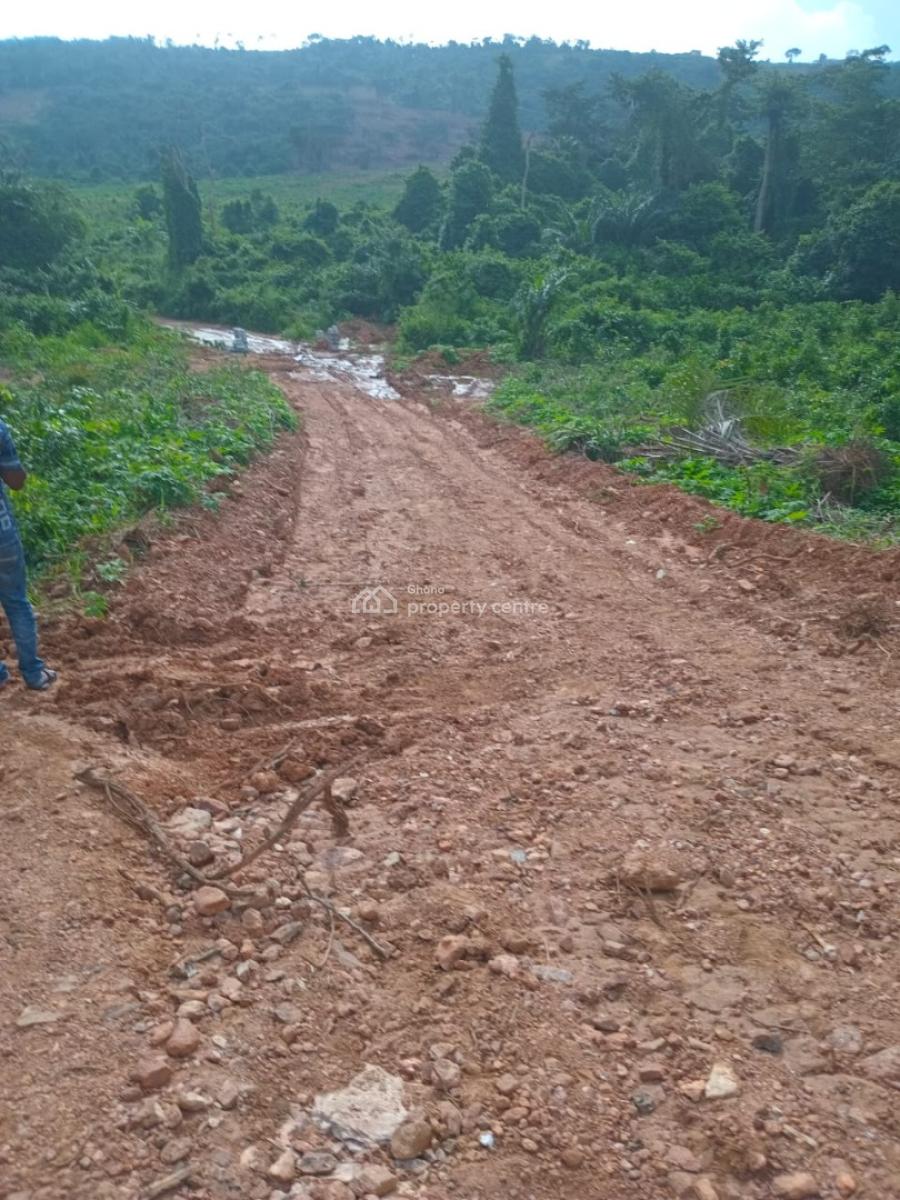 Invest in a Prime Location Near Cactus Creek Hotel, Adamorobe, Akuapim South Municipal, Eastern Region, Residential Land for Sale