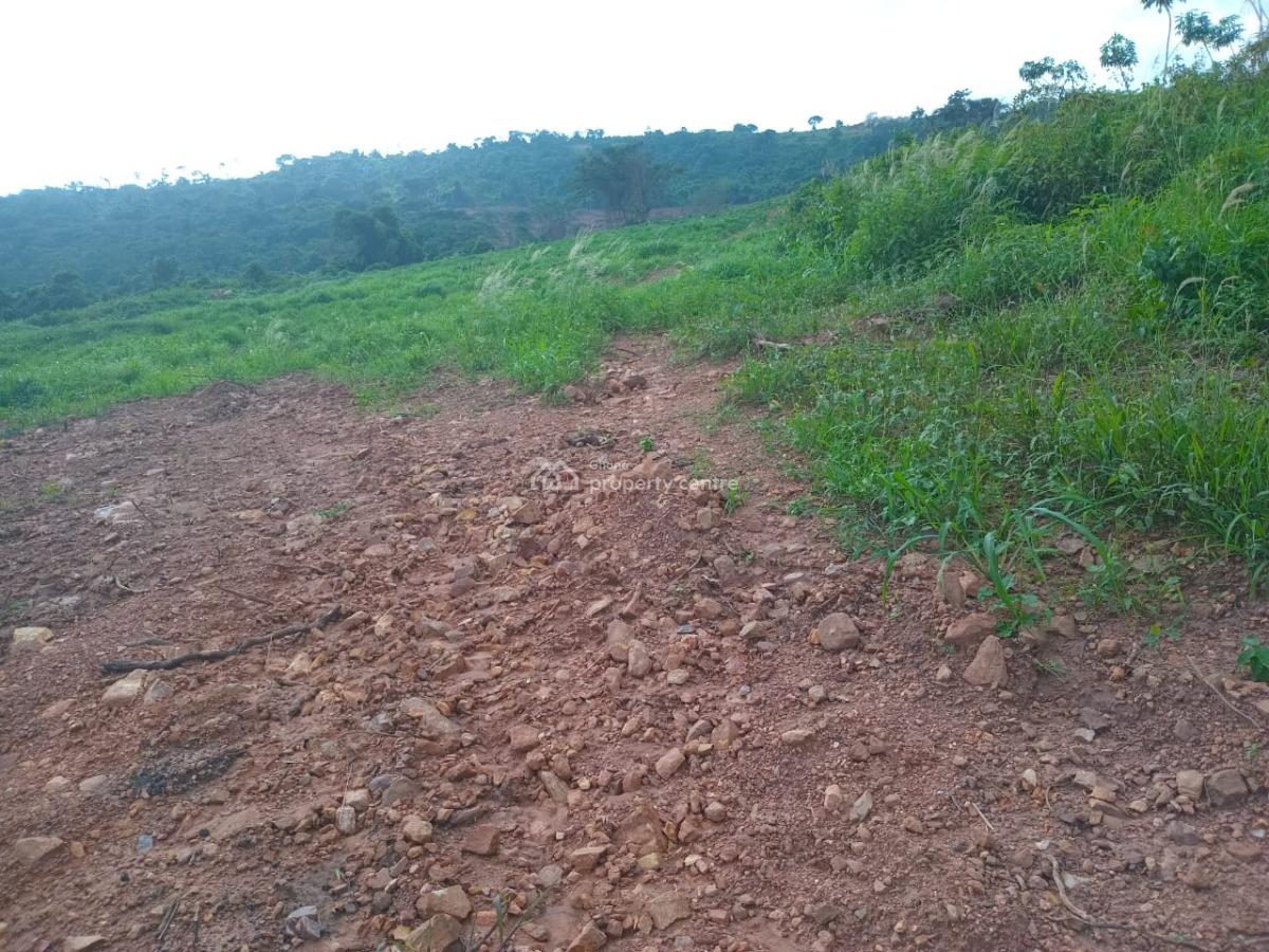 Invest in a Prime Location Near Cactus Creek Hotel, Adamorobe, Akuapim South Municipal, Eastern Region, Residential Land for Sale