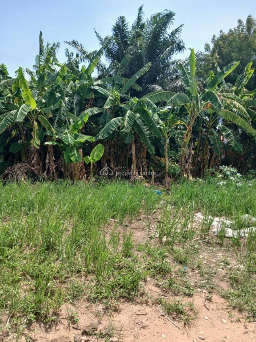 1 Plot of Land, Alpha Beta, Dansoman, Accra, Residential Land for Sale
