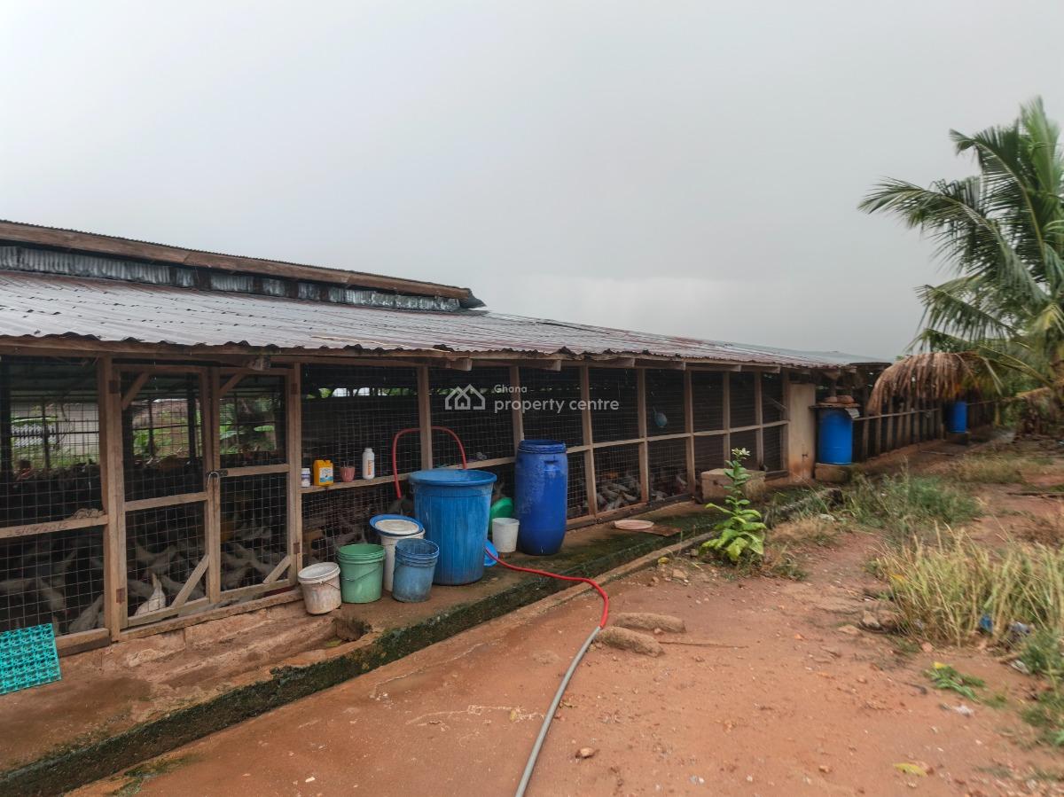 Poultry Farm, Kodie, Near Kronum Afrancho., Kumasi Metropolitan, Ashanti, Commercial Property for Sale