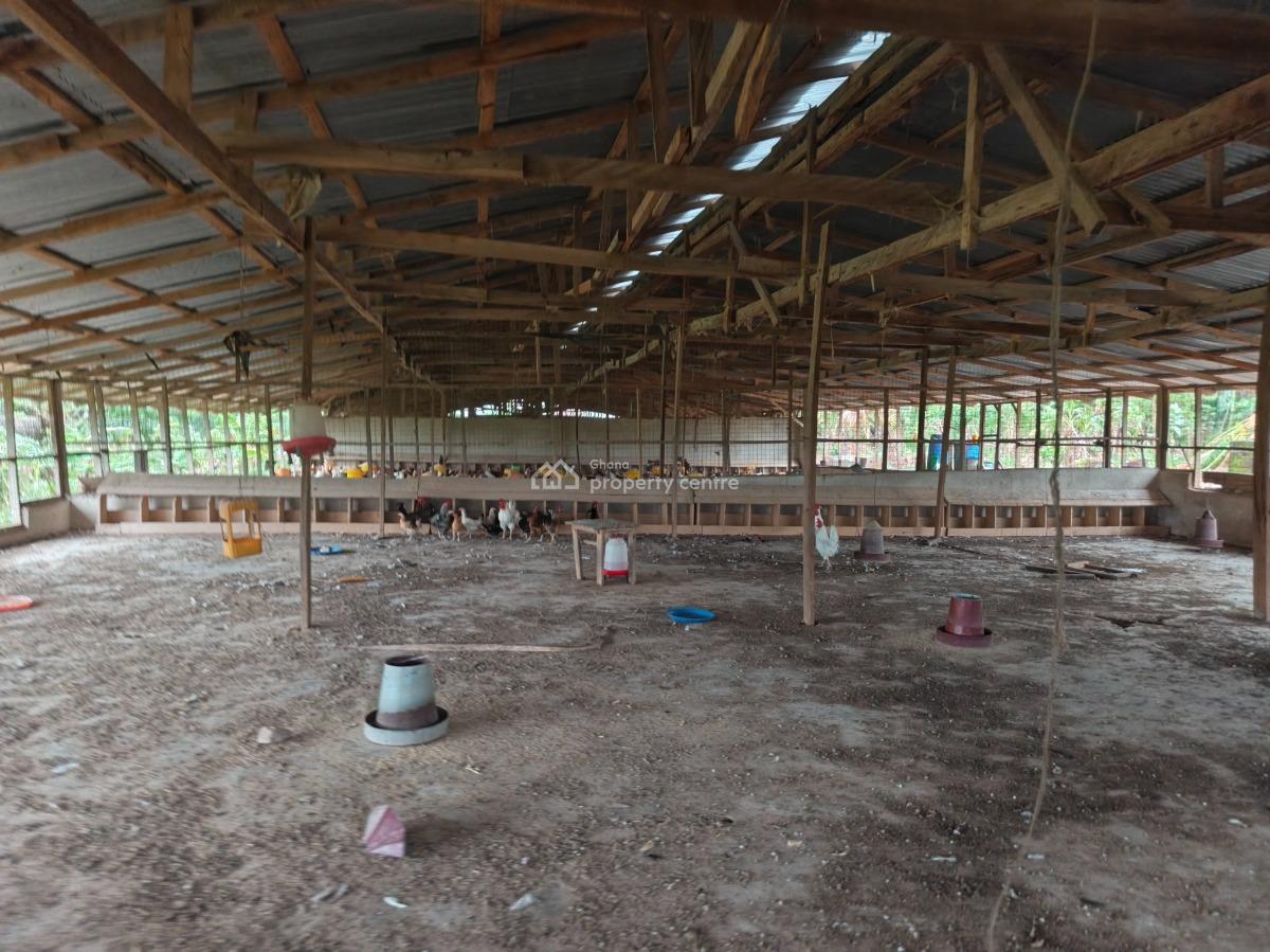 Poultry Farm, Kodie, Near Kronum Afrancho., Kumasi Metropolitan, Ashanti, Commercial Property for Sale