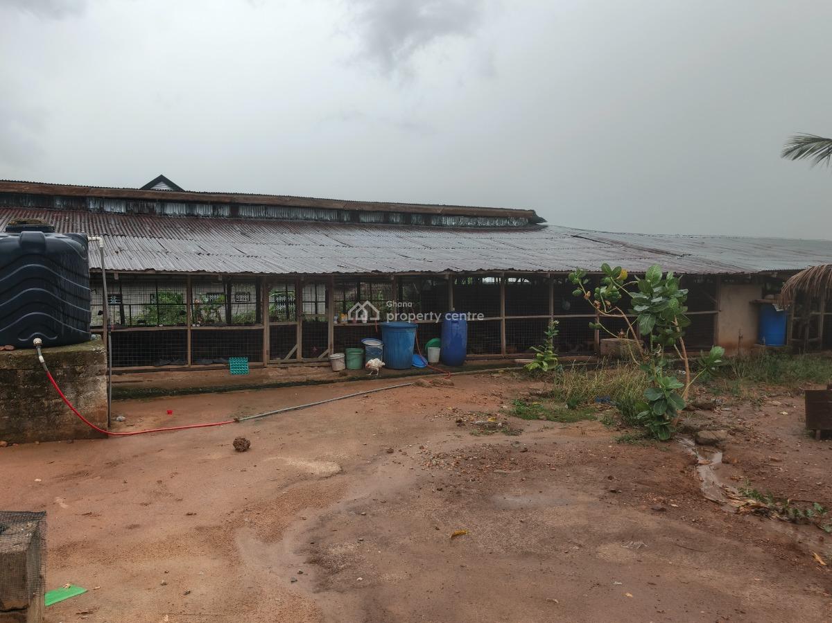 Poultry Farm, Kodie, Near Kronum Afrancho., Kumasi Metropolitan, Ashanti, Commercial Property for Sale