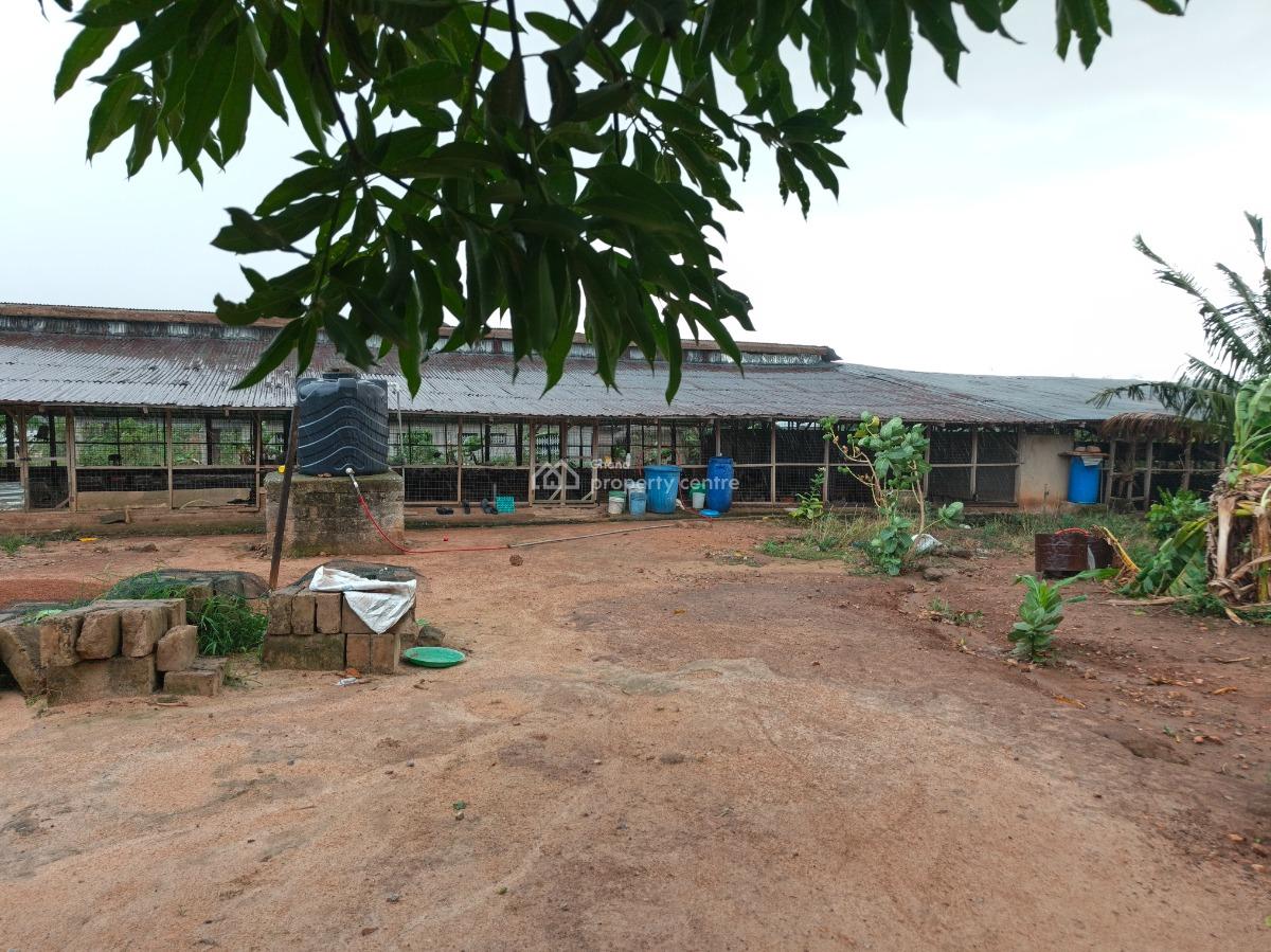 Poultry Farm, Kodie, Near Kronum Afrancho., Kumasi Metropolitan, Ashanti, Commercial Property for Sale