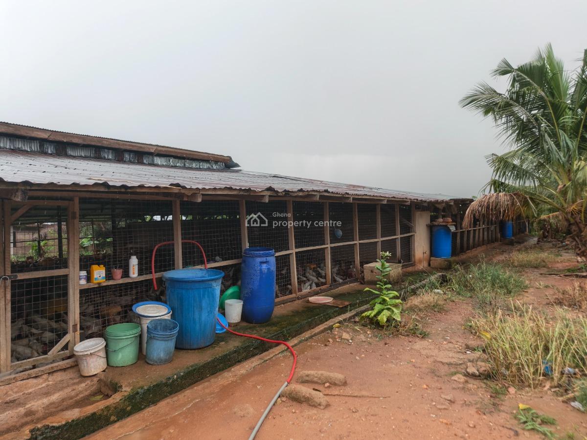 Poultry Farm, Kodie, Near Kronum Afrancho., Kumasi Metropolitan, Ashanti, Commercial Property for Sale
