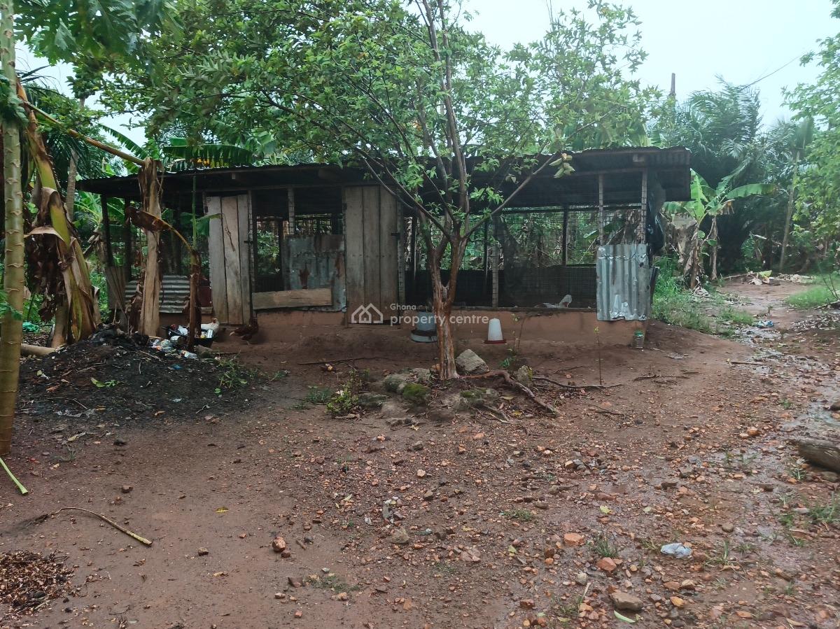 6 Plots      ( Developed Site/ Area), Kodie Apagya, Near Nursing Training School., Kumasi Metropolitan, Ashanti, Land for Sale