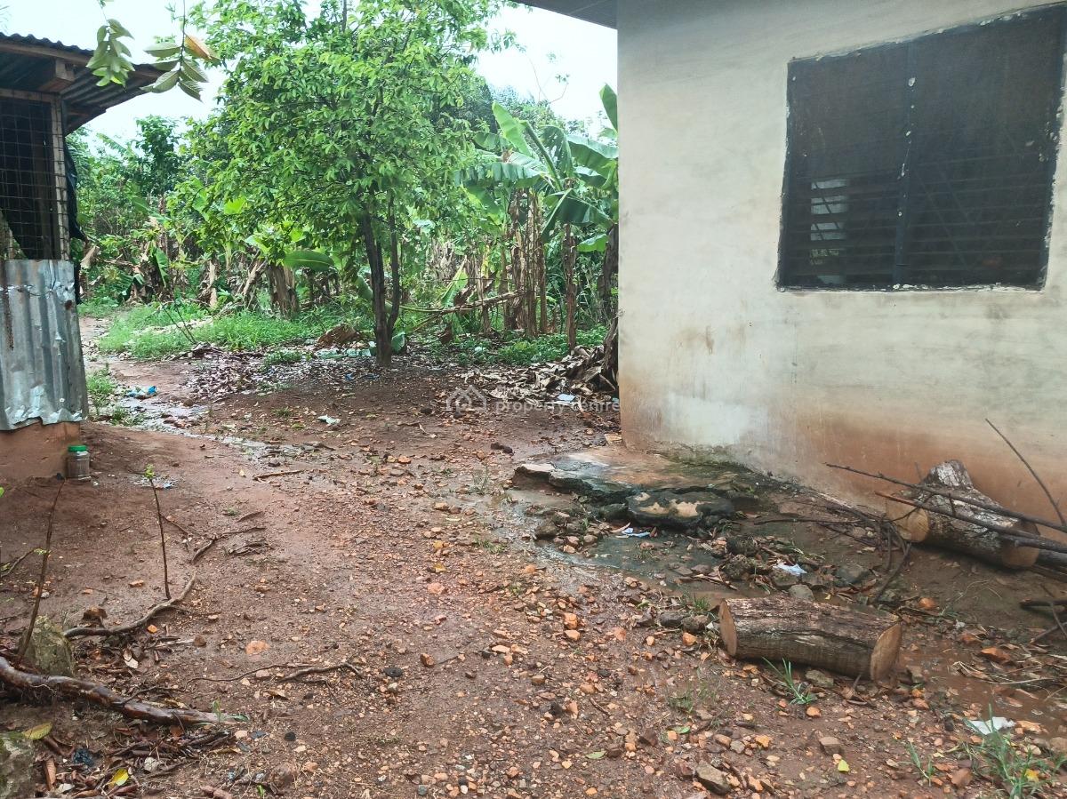 6 Plots      ( Developed Site/ Area), Kodie Apagya, Near Nursing Training School., Kumasi Metropolitan, Ashanti, Land for Sale