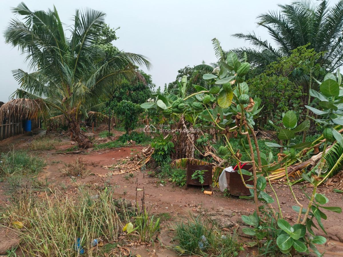 6 Plots      ( Developed Site/ Area), Kodie Apagya, Near Nursing Training School., Kumasi Metropolitan, Ashanti, Land for Sale