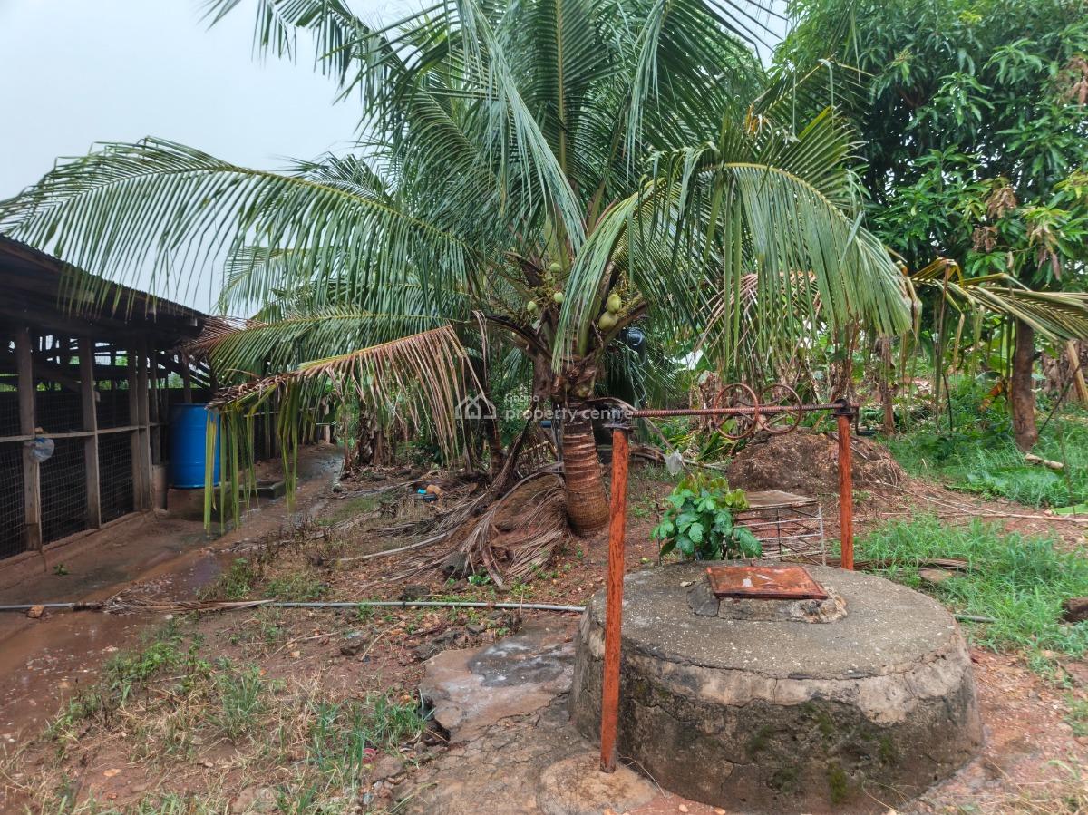 6 Plots      ( Developed Site/ Area), Kodie Apagya, Near Nursing Training School., Kumasi Metropolitan, Ashanti, Land for Sale