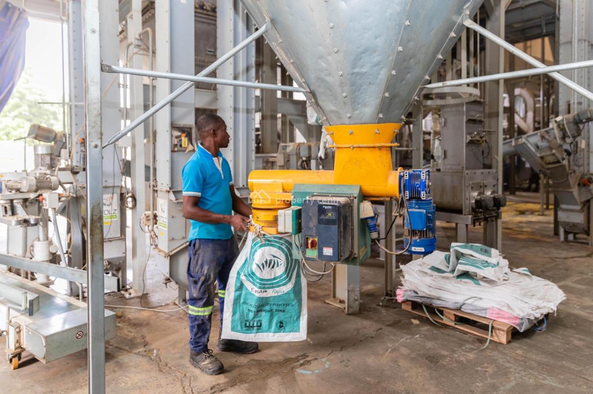 Warehouse, Community 9, Tema, Accra, Commercial Property for Sale