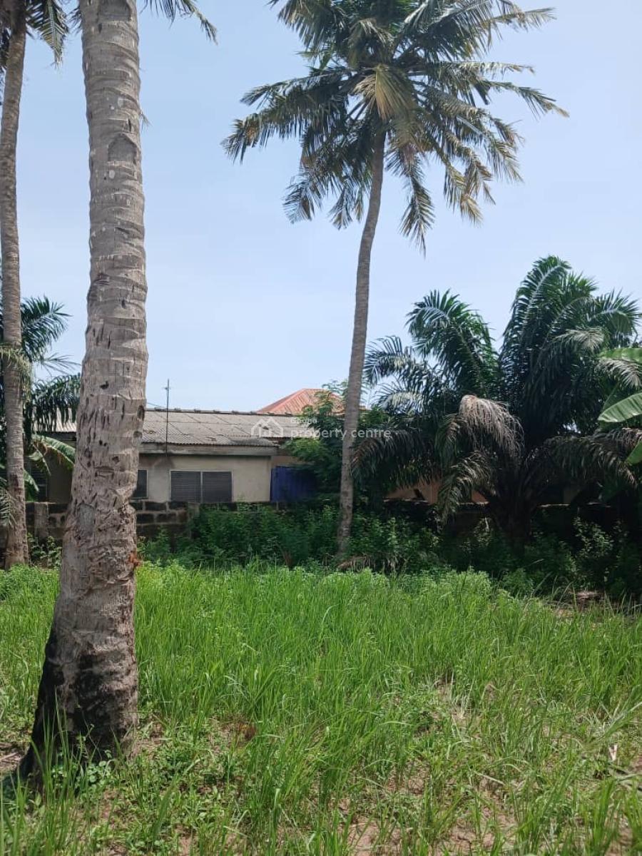 Dansoman Plot of Land, Alpha Beta, Dansoman, Accra, Land for Sale