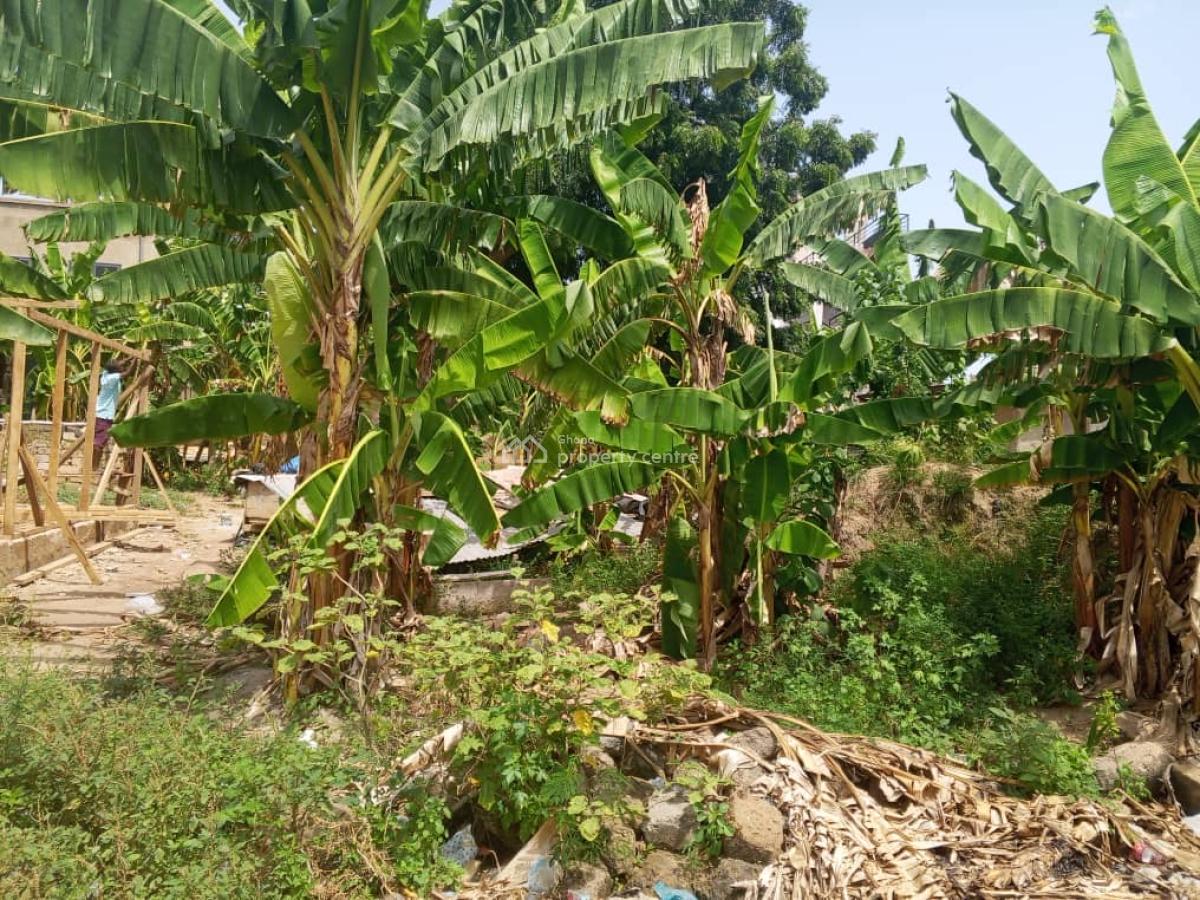 Half Plot of Land at Pokuase Ayawaso, Ayawaso West Home Restaurant, Pokuase (pokoasi), Ga West Municipal, Accra, Residential Land for Sale