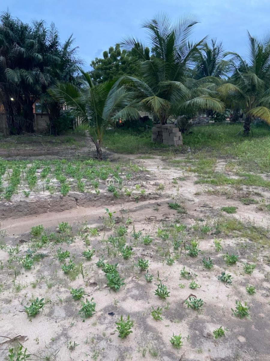 Waterfront-roadside Land Available for Purchase at Ada Tamatoku, Ada Tamatoku, Kasseh, Ada East, Accra, Mixed-use Land for Sale