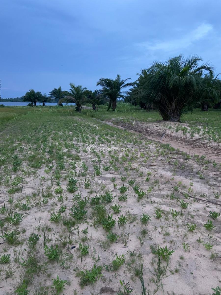 Waterfront-roadside Land Available for Purchase at Ada Tamatoku, Ada Tamatoku, Kasseh, Ada East, Accra, Mixed-use Land for Sale